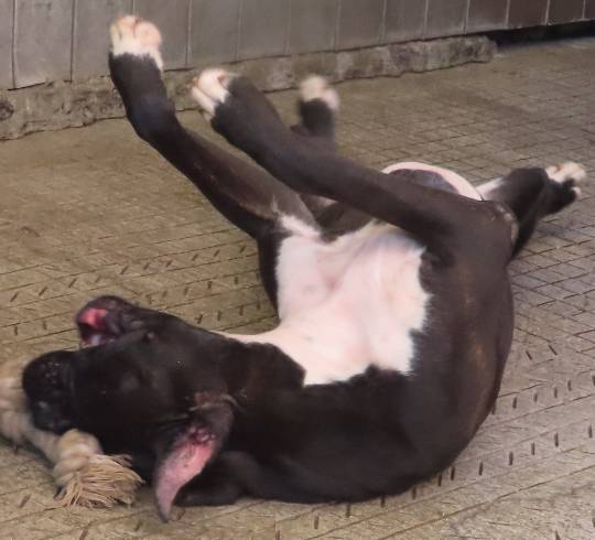 生き物ルーム第38