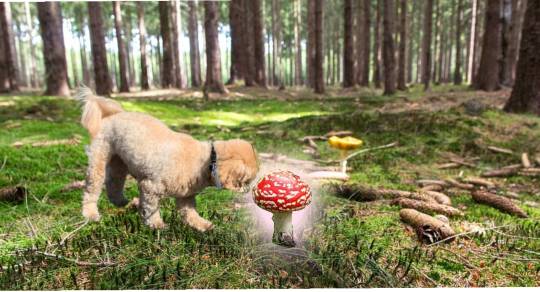 生き物ルーム第37