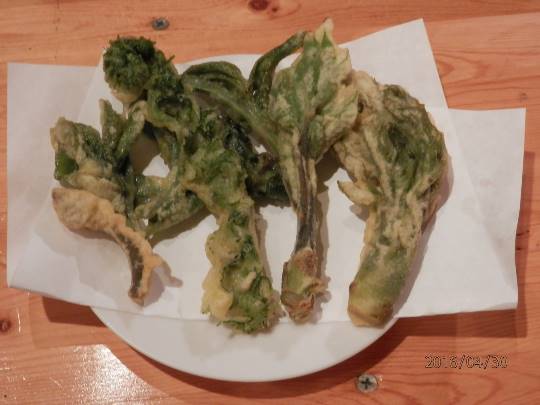 生き物ルーム第37