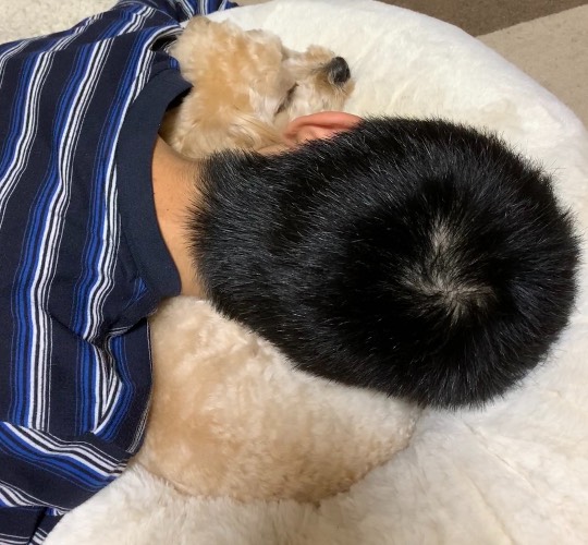 生き物ルーム第37