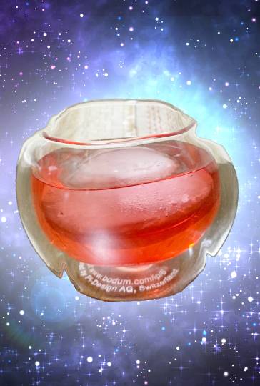 生き物ルーム第37