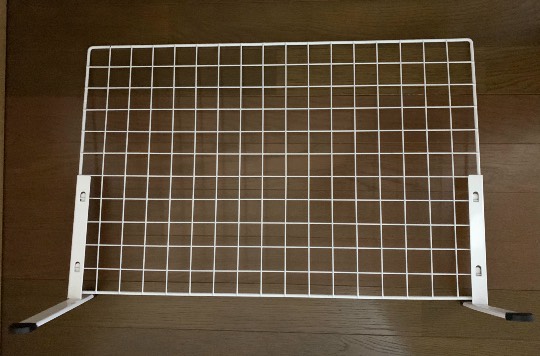 生き物ルーム第36