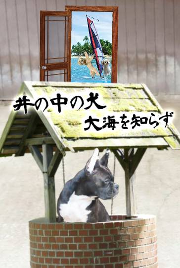 生き物ルーム第38