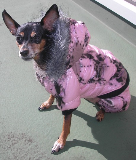 生き物ルーム第37