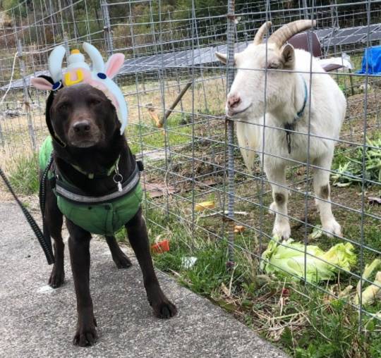 生き物ルーム第37