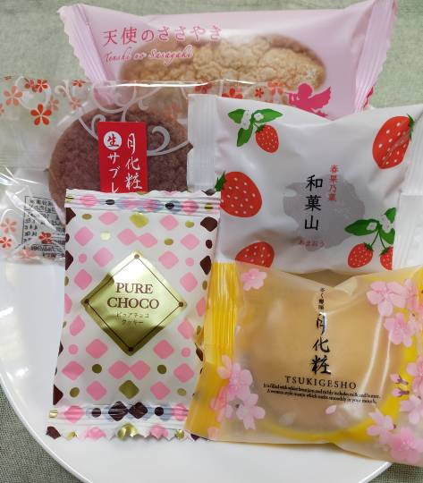 マスク同窓会詰所兼ニューフェイス歓迎所19