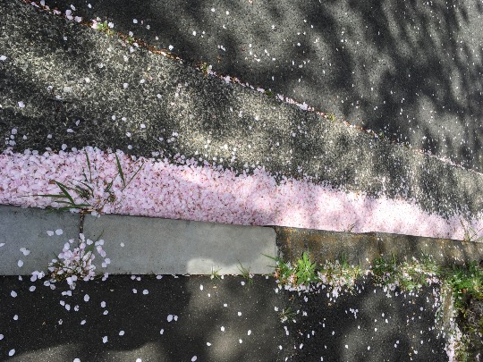 ★ドンキ♡♡ロピア 雑談23★