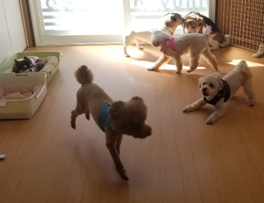 生き物ルーム第39