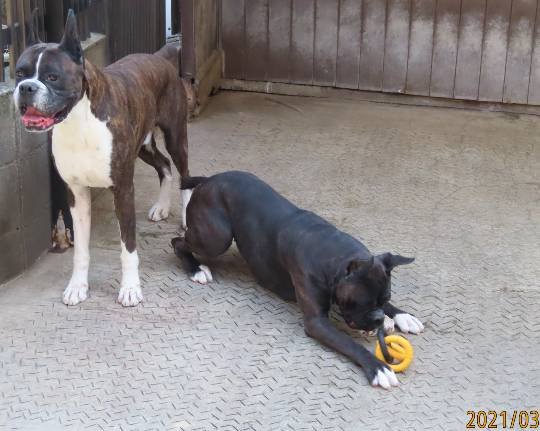 生き物ルーム第39