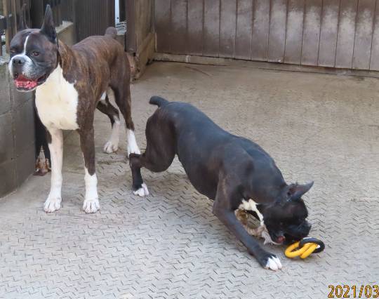 生き物ルーム第39