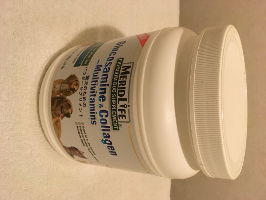 生き物ルーム第36