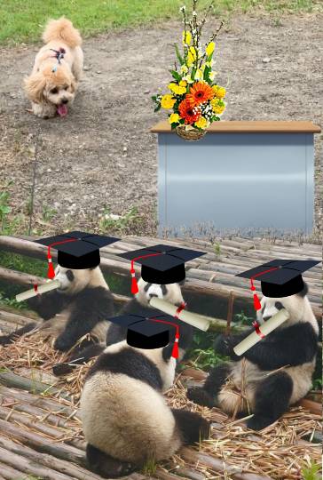 生き物ルーム第38