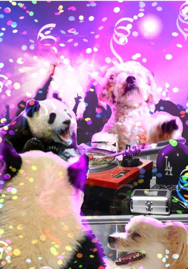 生き物ルーム第39