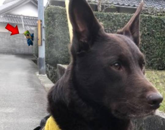 生き物ルーム第38