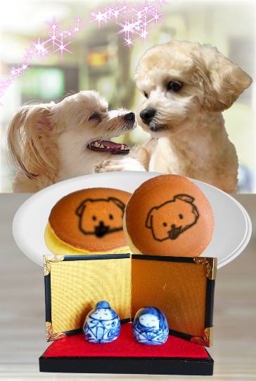 生き物ルーム第36