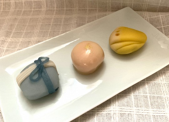 生き物ルーム第38