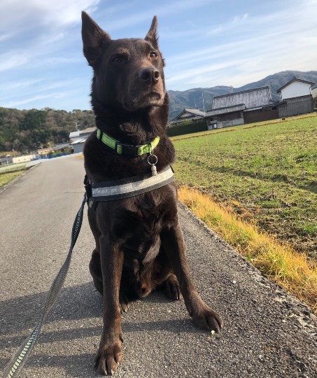 生き物ルーム第38