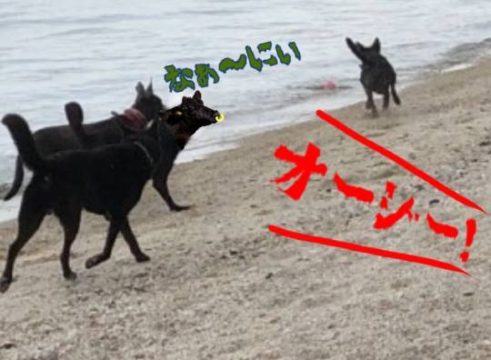 生き物ルーム第39