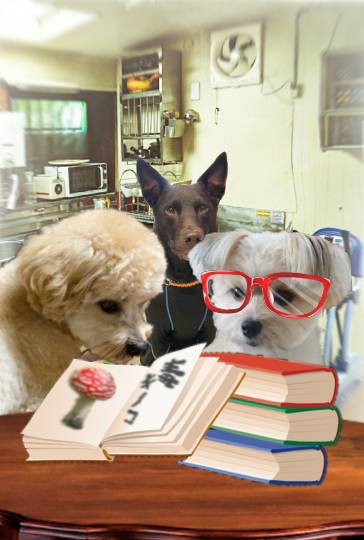 生き物ルーム第37