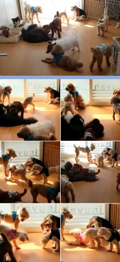 生き物ルーム第38