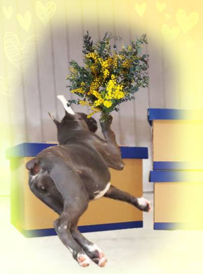 生き物ルーム第38