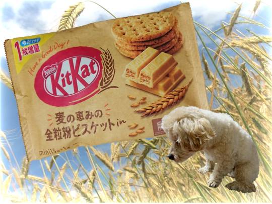 生き物ルーム第38