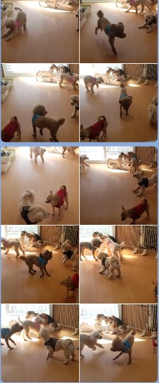 生き物ルーム第38