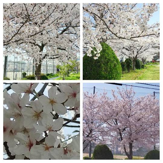 ★ドンキ♡♡ロピア 雑談23★