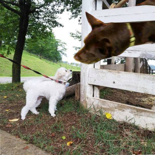 生き物ルーム第37