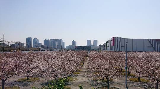 マスク同窓会詰所兼ニューフェイス歓迎所19