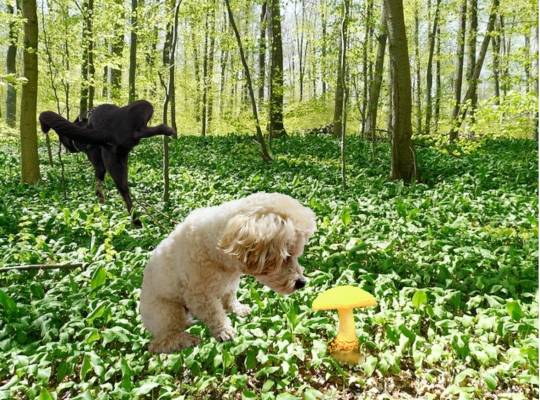 生き物ルーム第38