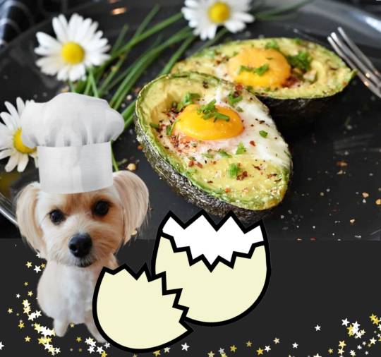 生き物ルーム第38