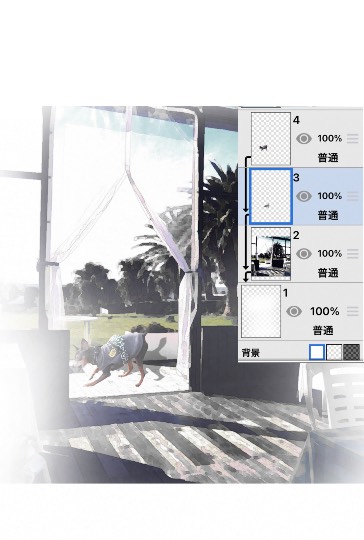 生き物ルーム第38