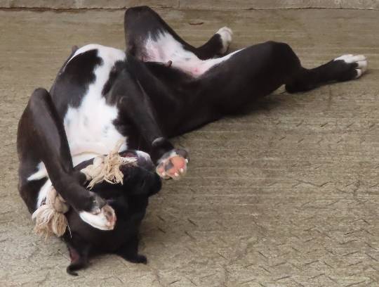 生き物ルーム第39