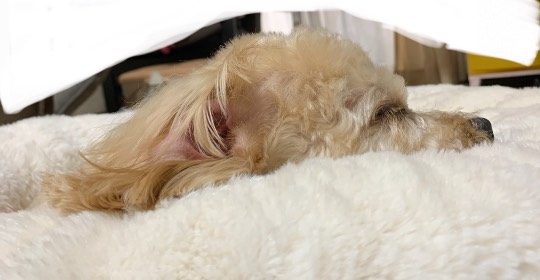 生き物ルーム第39