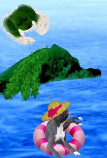 生き物ルーム第39