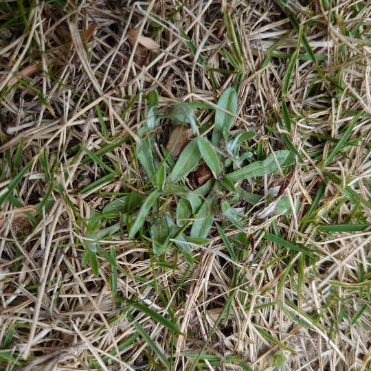 生き物ルーム第39