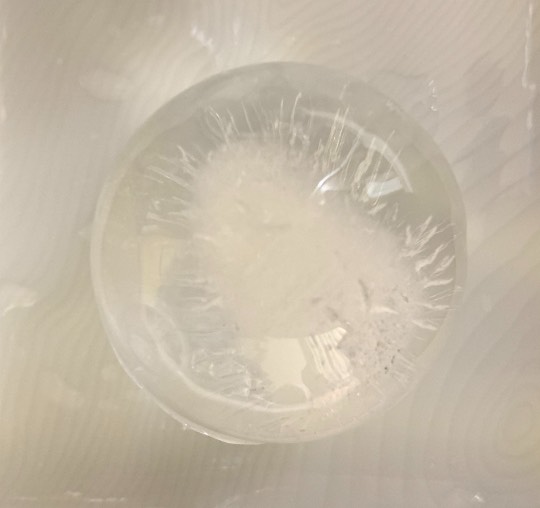 生き物ルーム第37