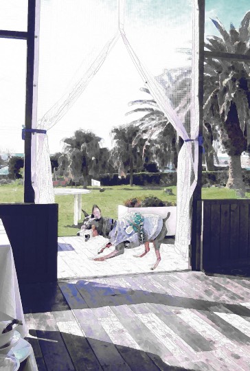 生き物ルーム第38