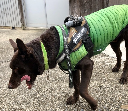 生き物ルーム第37