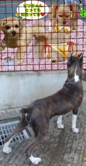 生き物ルーム第36