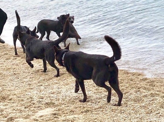 生き物ルーム第39