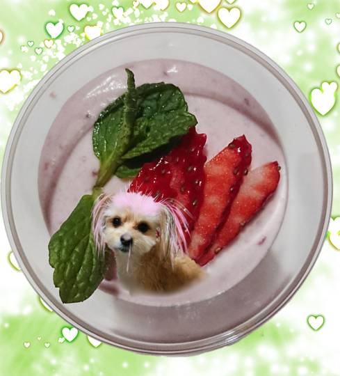 生き物ルーム第37