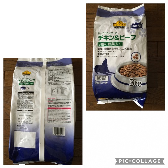 生き物ルーム第36