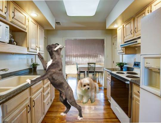 生き物ルーム第38