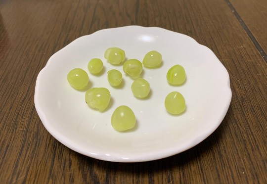 生き物ルーム第37