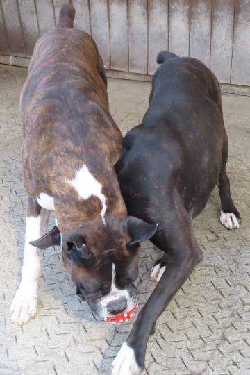 生き物ルーム第39