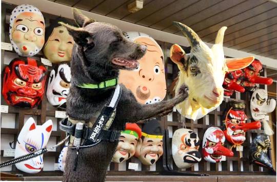 生き物ルーム第37