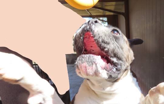 生き物ルーム第36