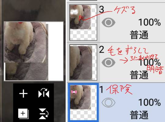 生き物ルーム第38